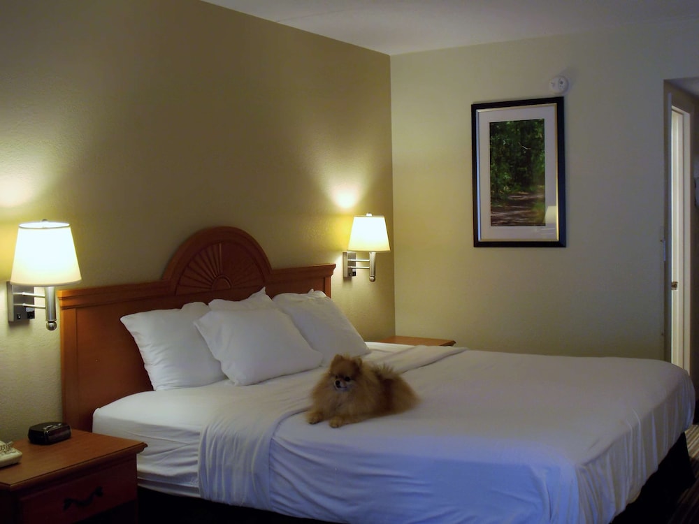 best western of murphy