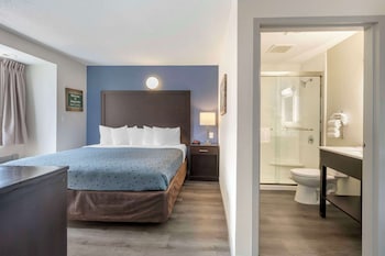 econo lodge and suites greenville