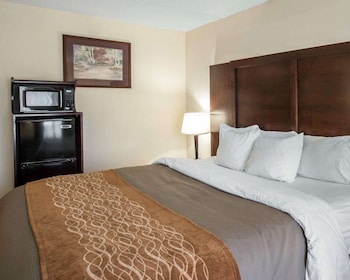 comfort inn and suites at i 85