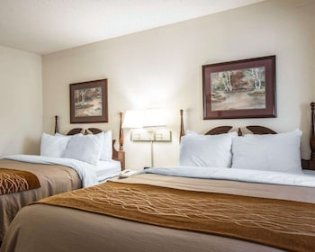 comfort inn and suites at i 85