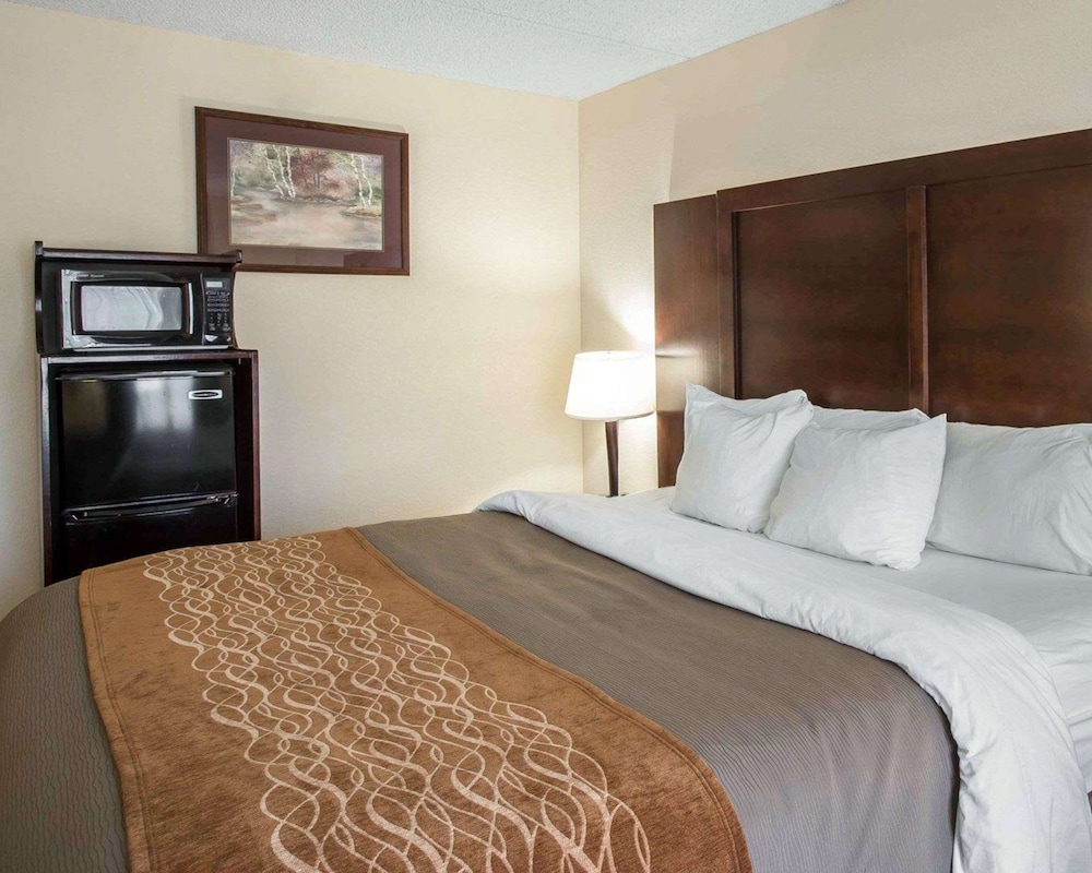 comfort inn and suites at i 85