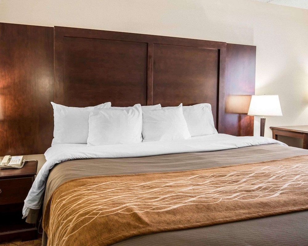 comfort inn and suites at i 85