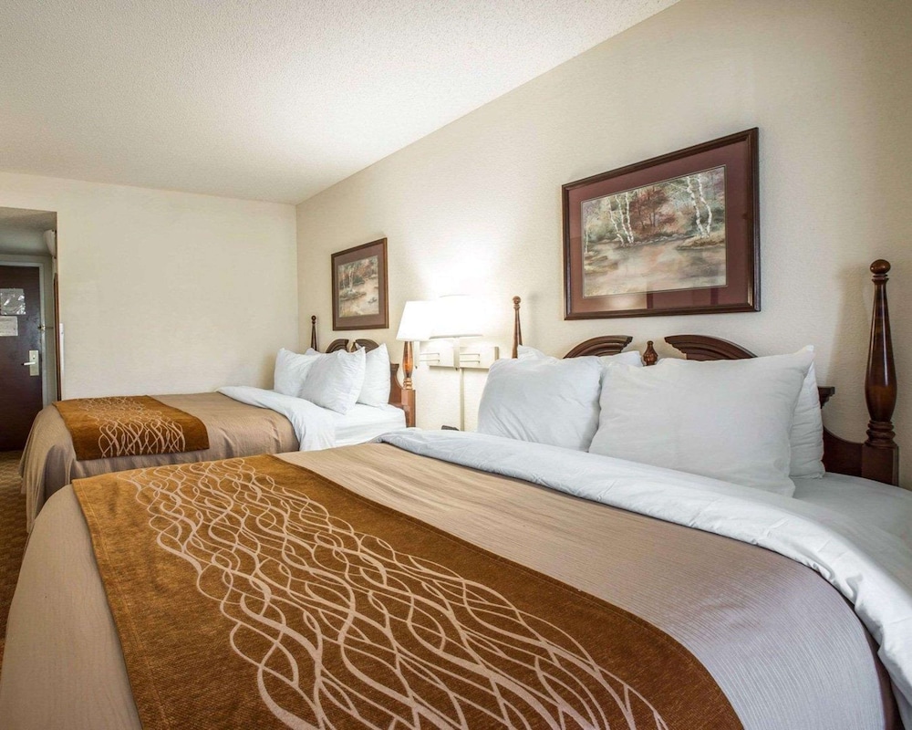 comfort inn and suites at i 85