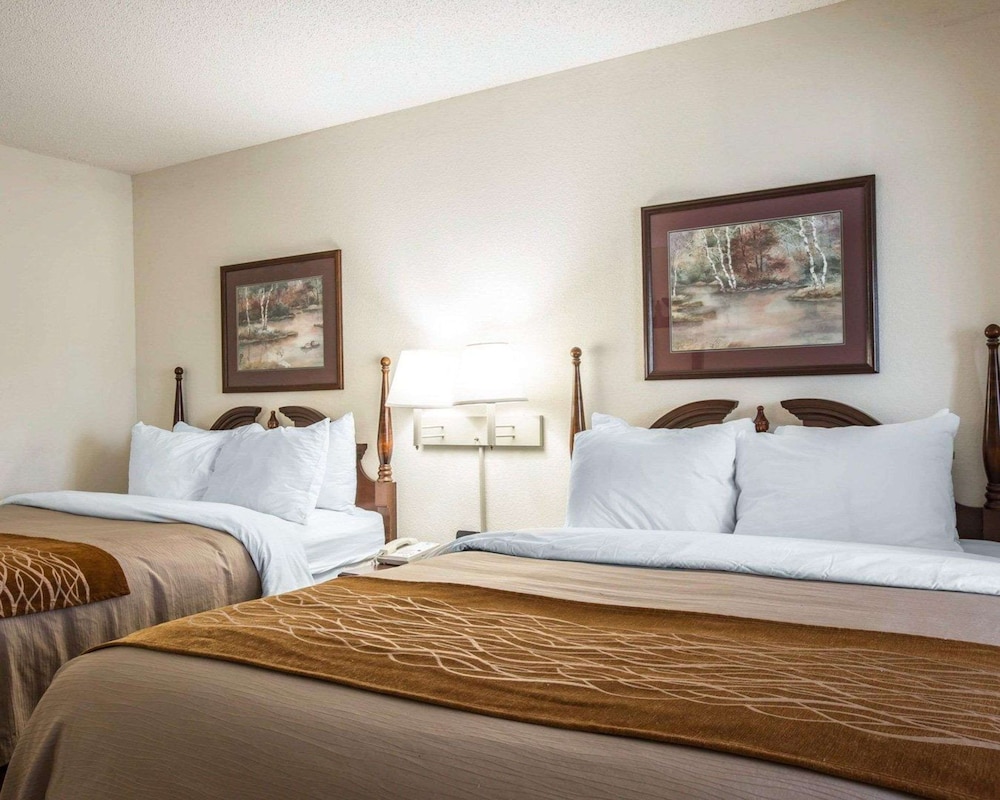 comfort inn and suites at i 85