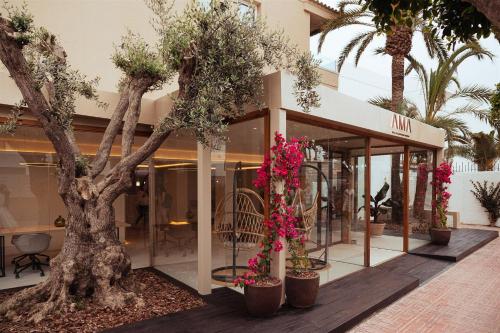 ama ibiza suites adults only