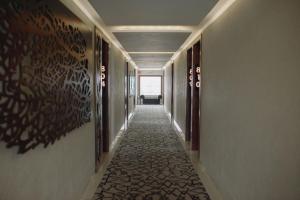 hotel dali ejecutivo