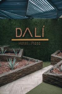 hotel dali ejecutivo