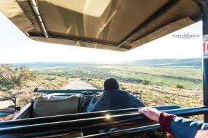 leeuwenbosch country house amakhala game reserve