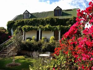 leeuwenbosch country house amakhala game reserve