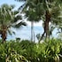 sinalei reef resort and spa