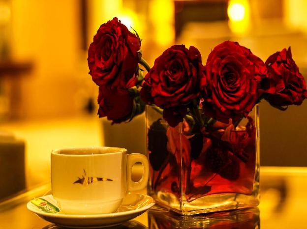 rest night hotel apartment