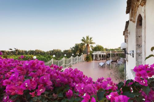 hotel villa favorita