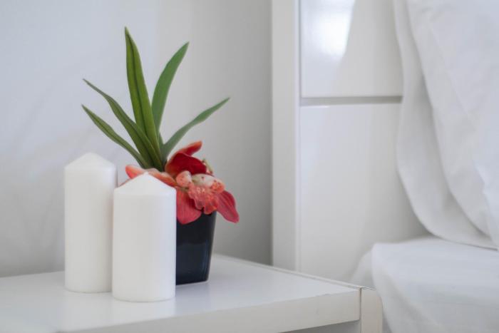 teja lakeview apartments