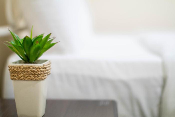 teja lakeview apartments