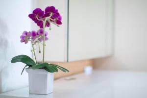 teja lakeview apartments