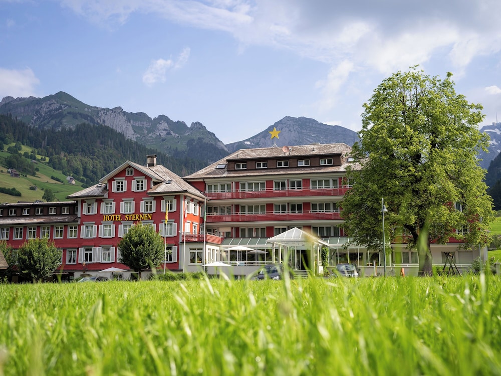 wildhaus alt st johann