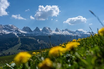 wildhaus alt st johann