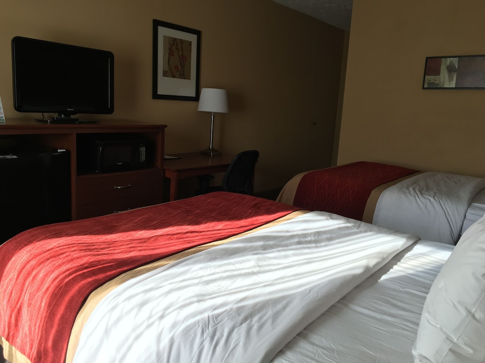 comfort inn jackson i 40