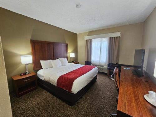comfort inn jackson i 40