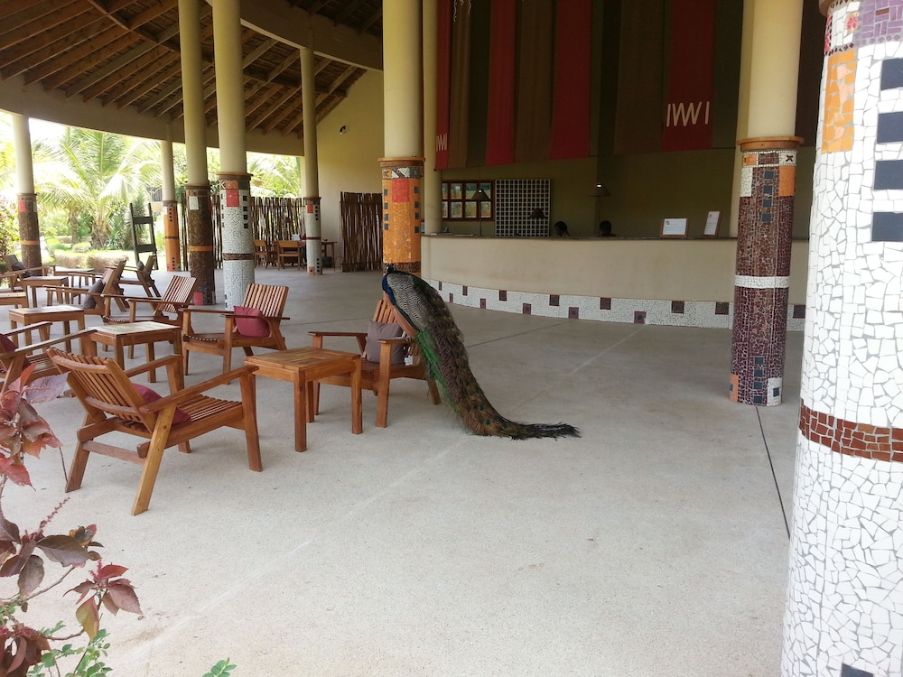 hotel club royal saly all inclusive