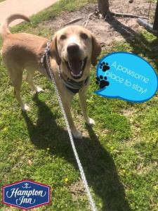 hampton inn biloxi ocean springs