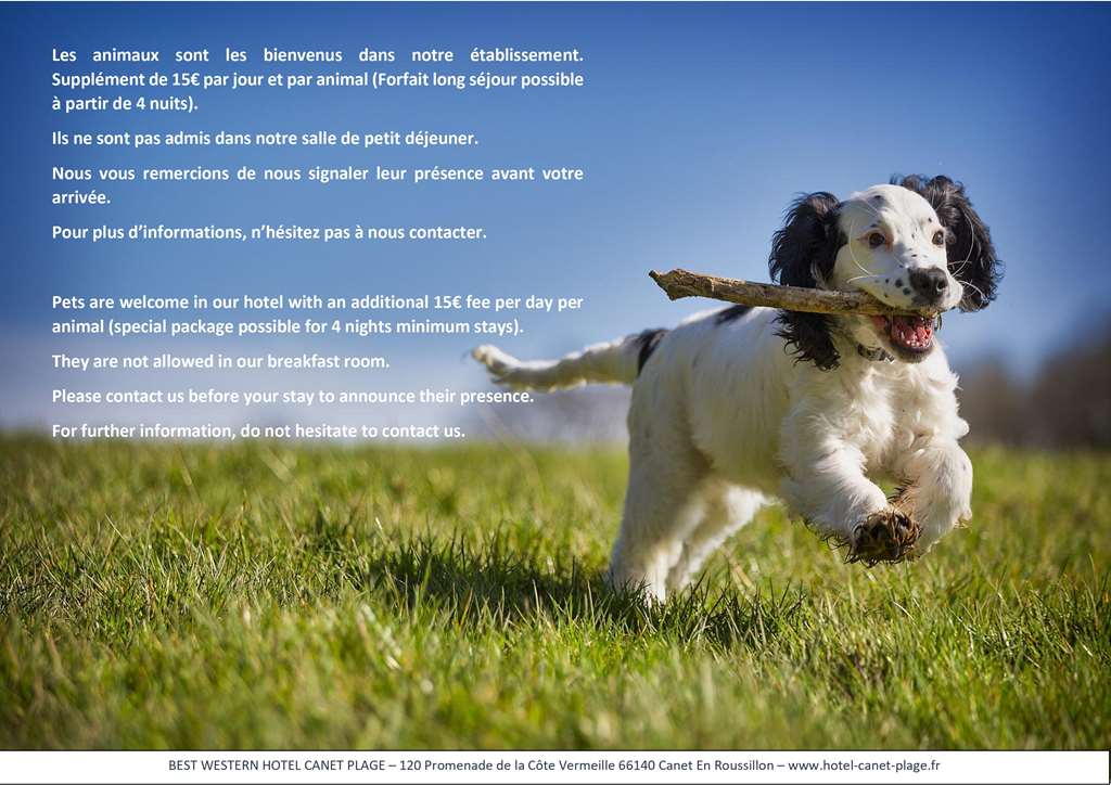 best western plus hotel canet plage