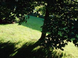 novotel metz amneville hotel