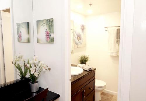 tropical studios at marine surf waikiki