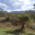 upper colo