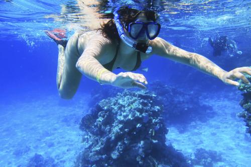 eilat