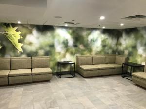 Wyndham Garden Marietta Atlanta North,Cobb>>Atlanta,2.5 star