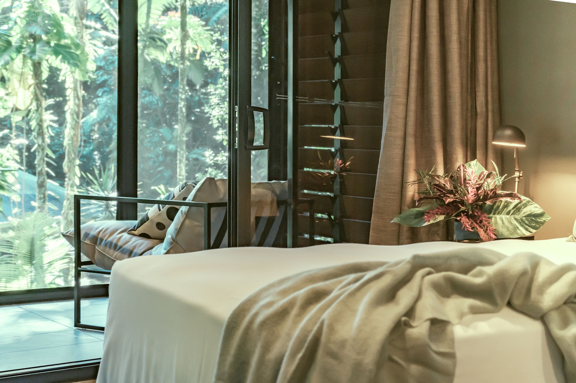 daintree ecolodge