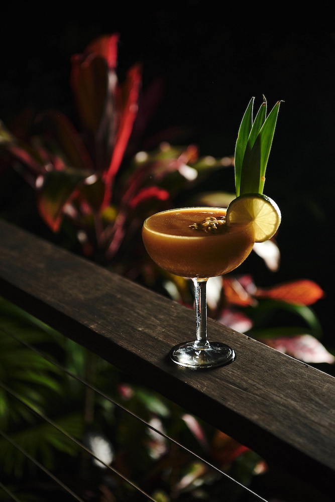 daintree ecolodge