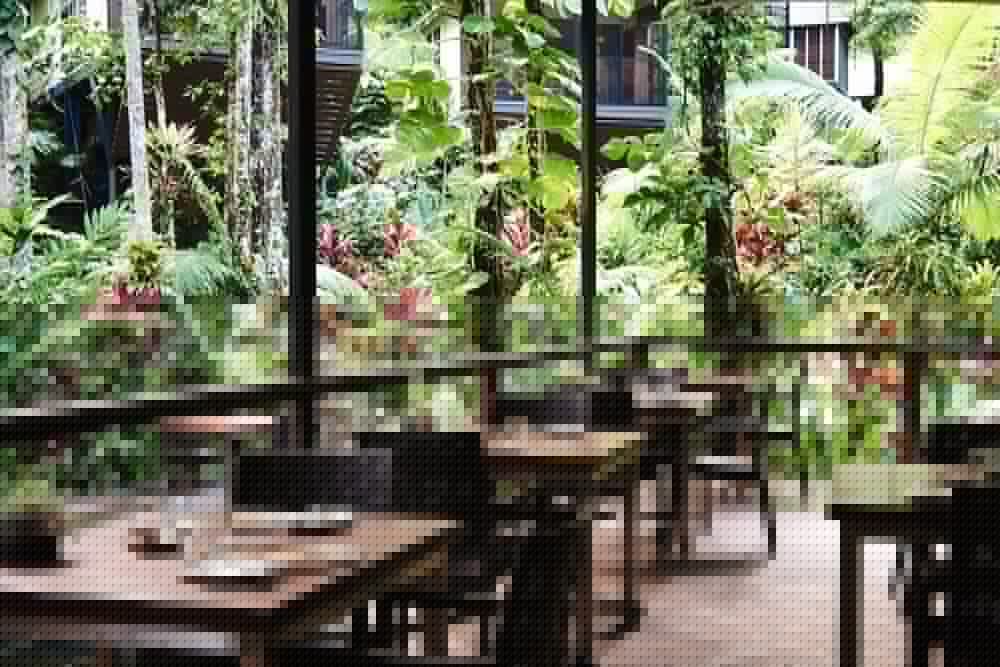 daintree ecolodge