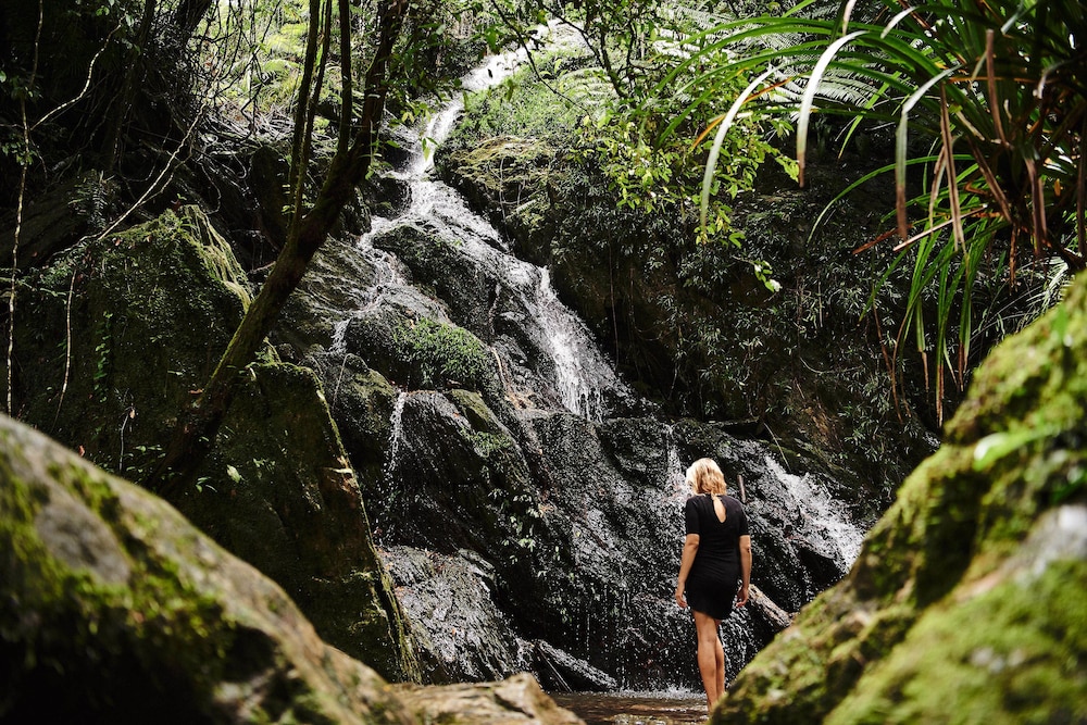 daintree ecolodge