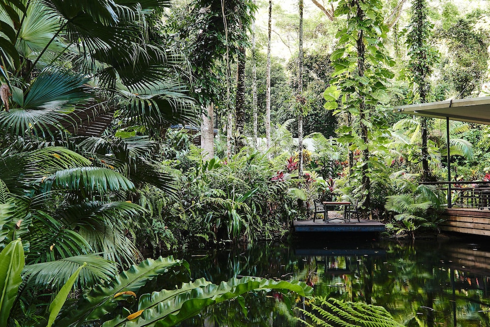 daintree ecolodge