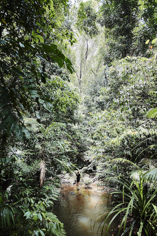 daintree ecolodge