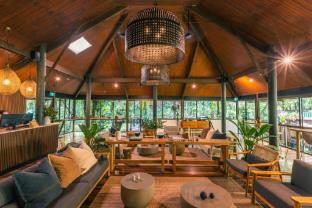 daintree ecolodge