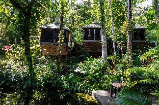 daintree ecolodge