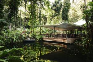 daintree ecolodge