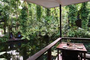 daintree ecolodge