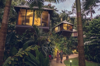 Daintree Ecolodge,,4 star