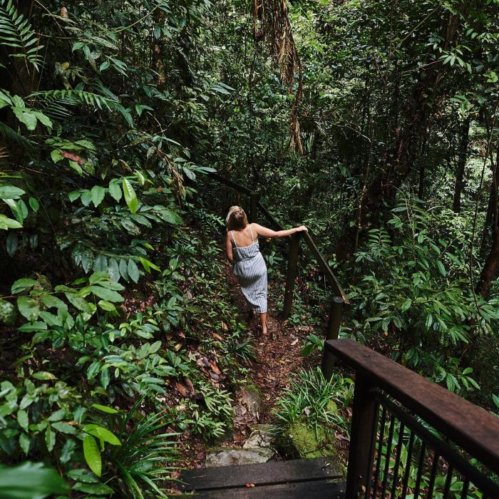 daintree ecolodge