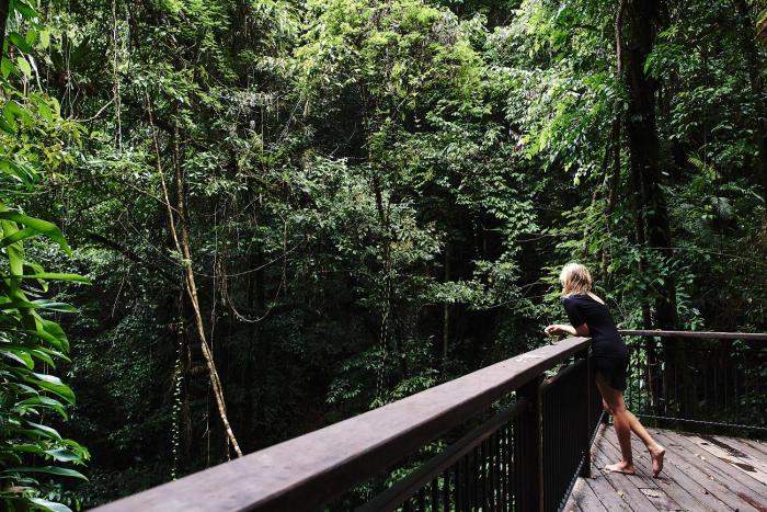 daintree ecolodge