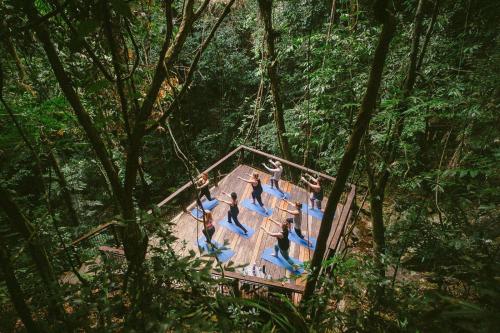 daintree ecolodge