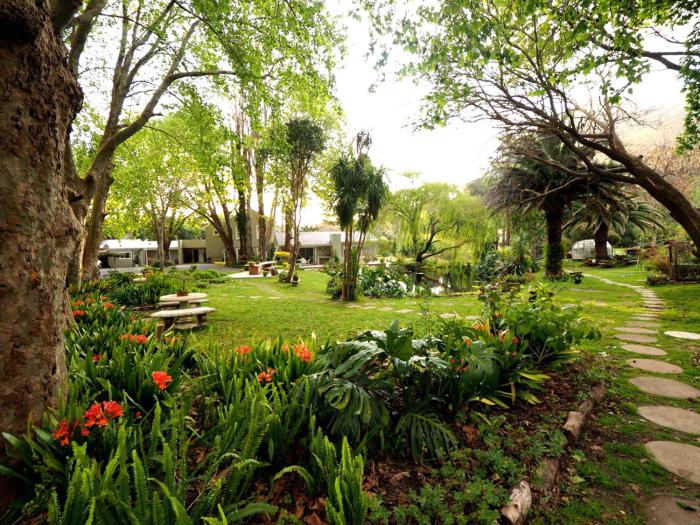 cape town