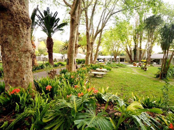 cape town