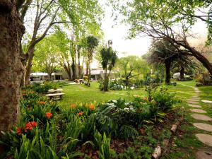 cape town