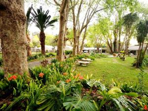 cape town
