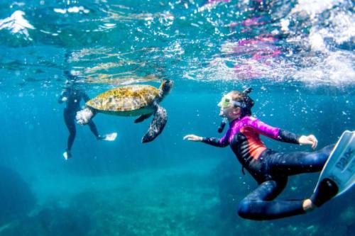 reflections holiday parks byron bay